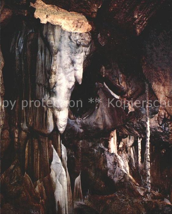 Hoehlen Caves Grottes Attendorn Tropfsteinhöhle Eisbär