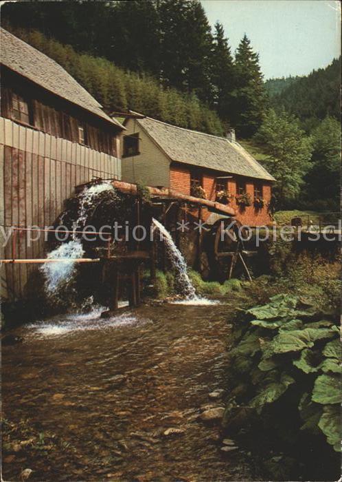 Wassermuehle Schwarzwald
