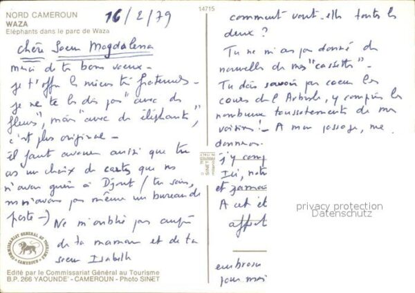 Elefant Nord Cameroun Waza – Bild 2
