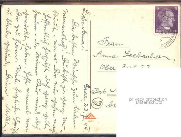 Rosen – Bild 2