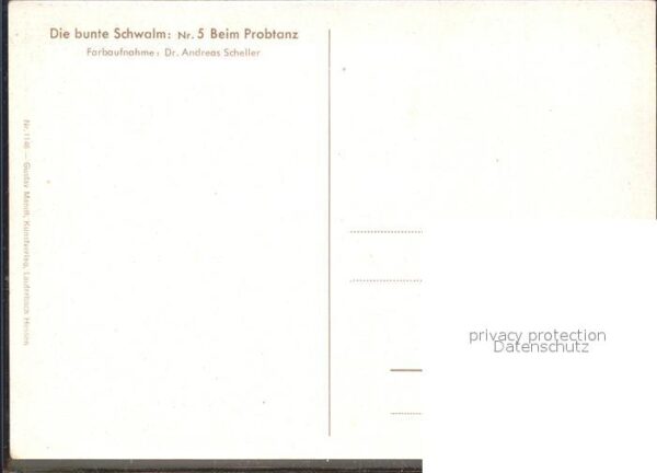 Trachten Schwalm Probtanz – Bild 2