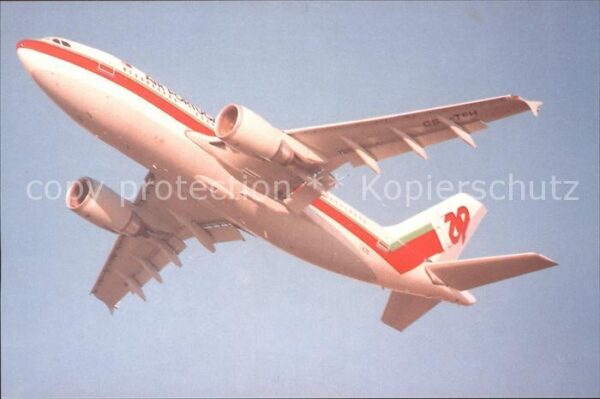 Flugzeuge Zivil Tap Air Portugal A310-304 CS-TEH c/n 48