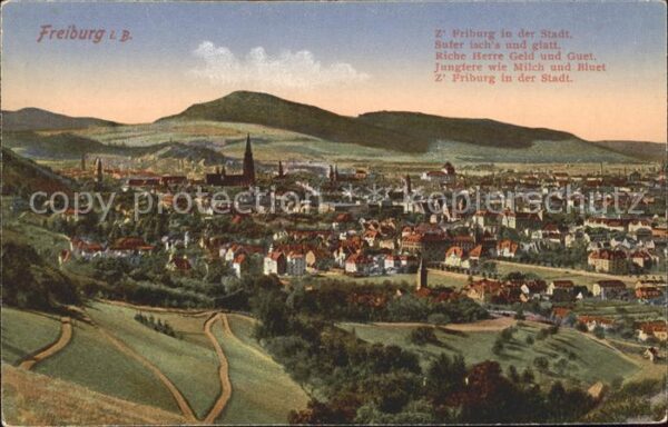 Freiburg Breisgau Panorama Gedicht