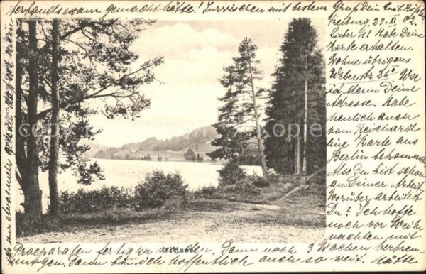 Titisee Partie am Ufer
