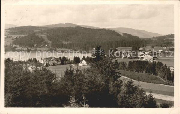 Titisee Panorama Schwarzwald