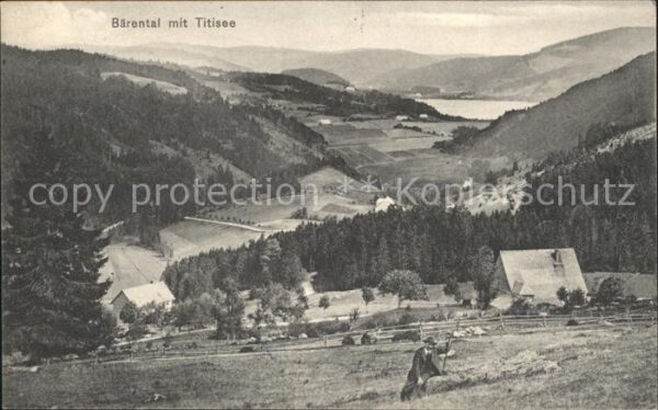Baerental Feldberg Panorama Blick zum Titisee Landwirtscha