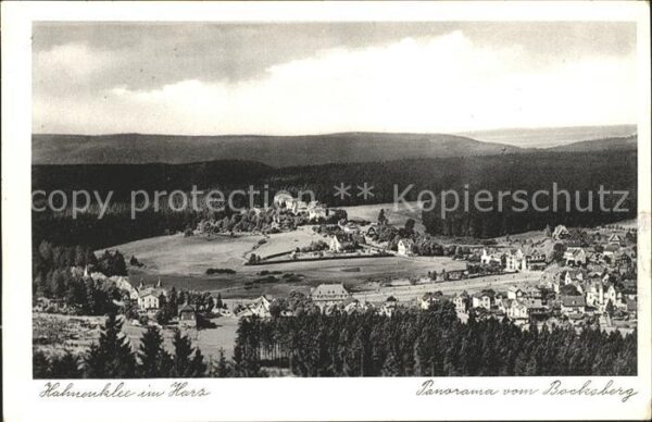 Hahnenklee-Bockswiese Harz Panorama Blick vom Bocksberg Serie Aus