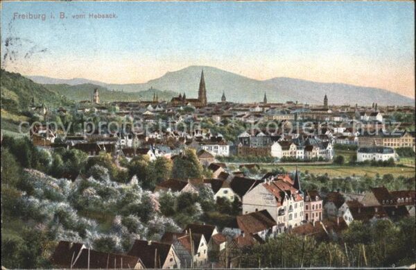 Freiburg Breisgau Blick vom Hebsack
