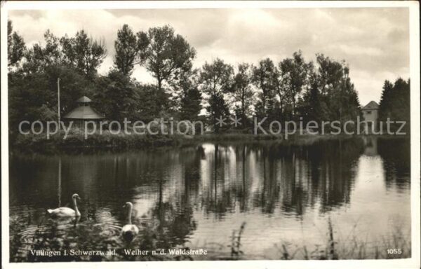 Villingen-Schwenningen Weiher an der Waldstrasse Schwan