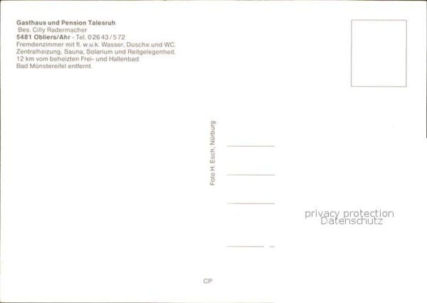 Obliers Gasthaus Pension Talesruh Pferde – Bild 2