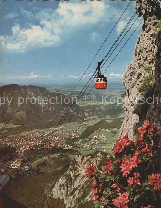 Seilbahn Predigtstuhl Bad Reichenhall Alpenrosen