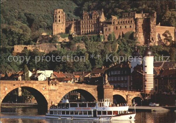 Motorschiffe Heidelberg Alte Brücke Schloss