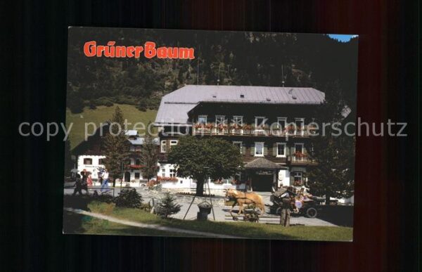 Badgastein Hoteldorf Grüner Baum