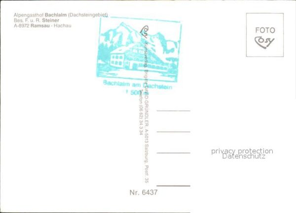 Ramsau Dachstein Steiermark Alpengasthof Bachlalm Murmeltiere – Bild 2