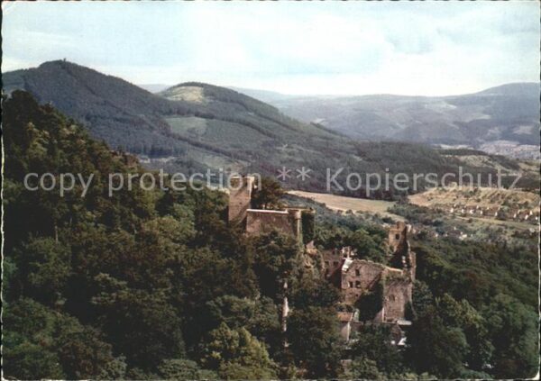 Baden-Baden Altes Schloss Fliegeraufnahme