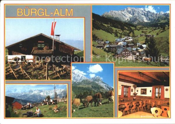 Dienten Hochkoenig Jausenstation Bürgl-Alm