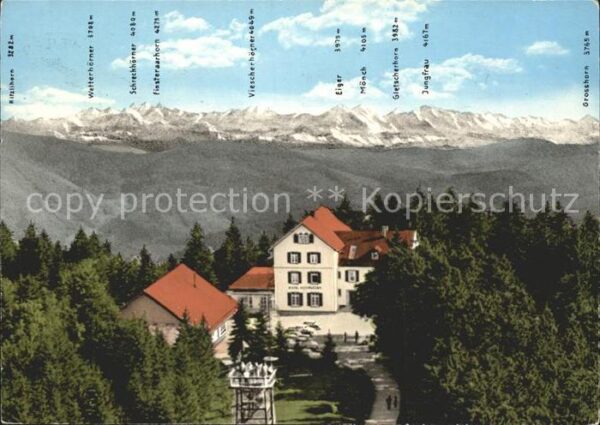 Badenweiler Hotel Hochblauen Schweizer Alpenkette