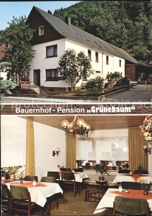 Sundern Sauerland Bauernhof Pension Grünebaum