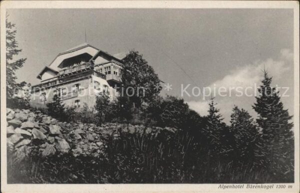 Muerzzuschlag Alpenhotel Bärenkogel