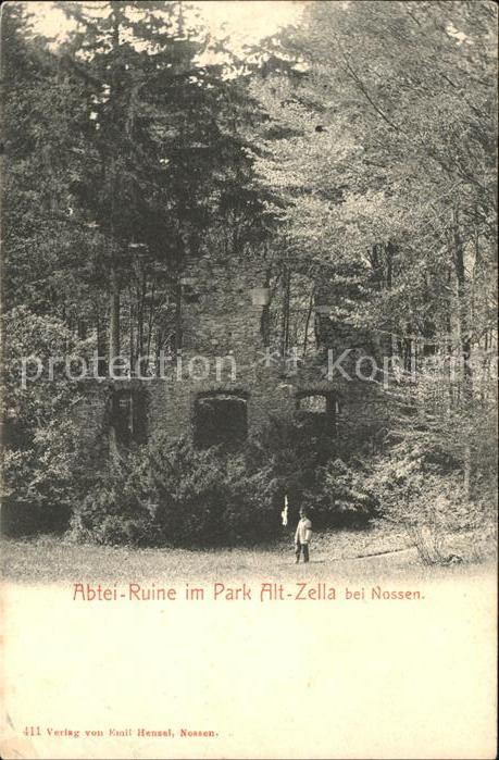 Nossen Abtei-Ruine Park Altzella