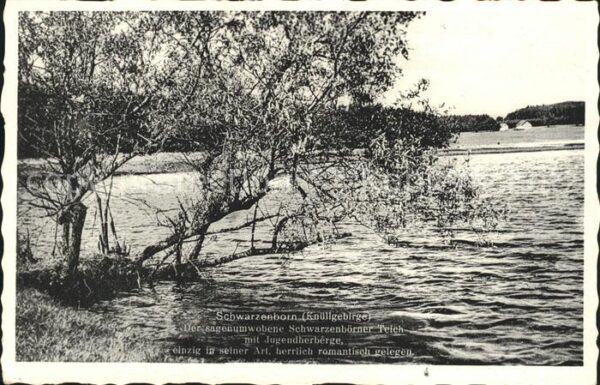 Schwarzenborn Knuell Schwarzenbörner Teich