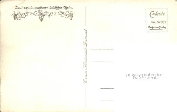 Andernach Rheinanlagen – Bild 2