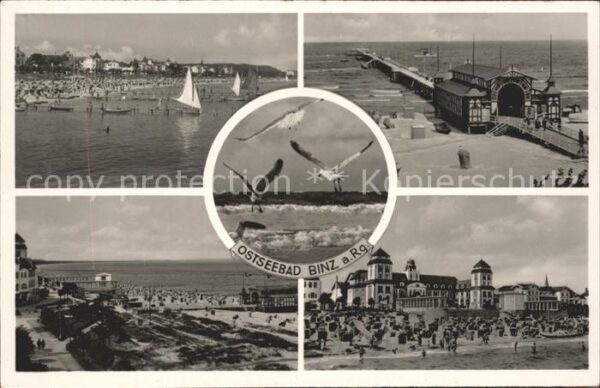 Binz Ruegen Strand Möwen