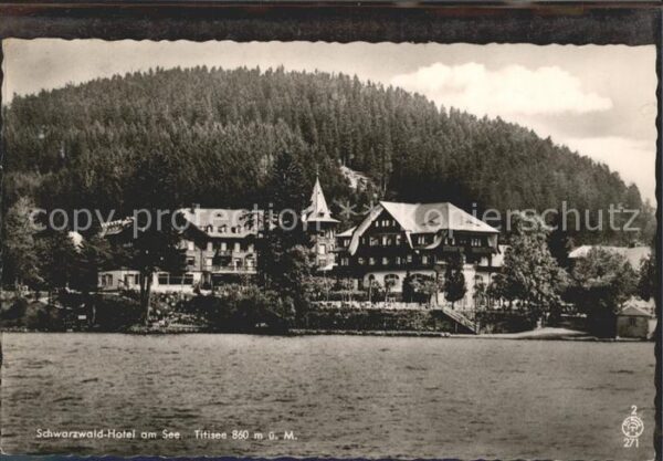 Titisee Schwarzwald-Hotel am See