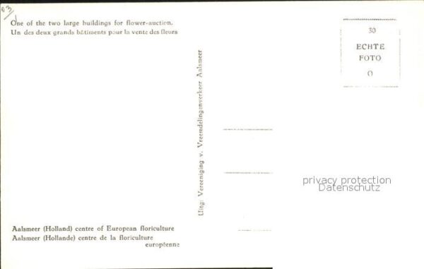 Aalsmeer Bloemenveilings – Bild 2