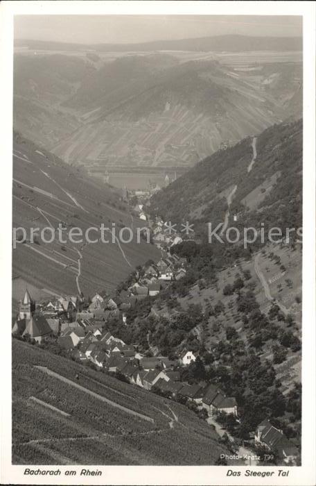 Bacharach Rhein Panorama Steeger Tal Weinberge
