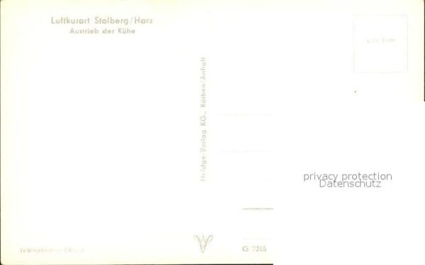 Stolberg Harz Austrieb der Kühe Luftkurort – Bild 2