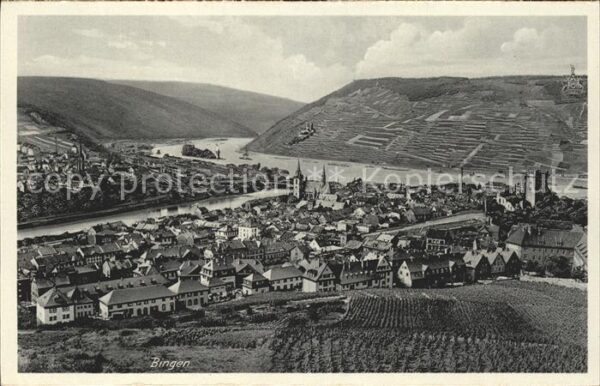 Bingen Rhein Panorama Nahemündung Burg Klopp Nationa