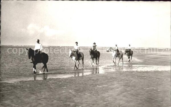 Langeoog Nordseebad Reiter am Strand Pferd