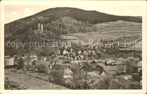 Steinbach-Hallenberg Gesamtansicht Burg