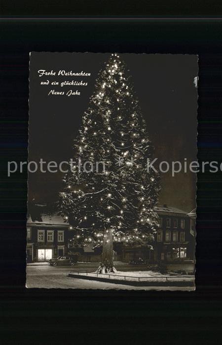 Wermelskirchen Kalifornische Mammutkiefer Christbaum W