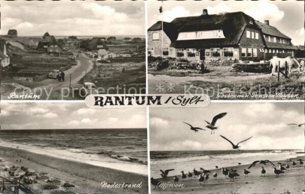 Rantum Sylt Badestrand Möwen Gasthaus Pension Boyse