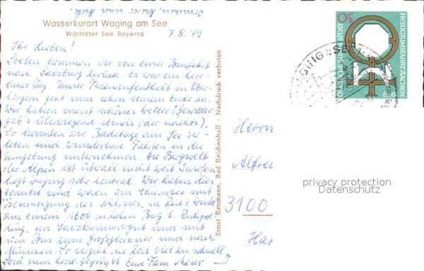 Waging See Kühe – Bild 2