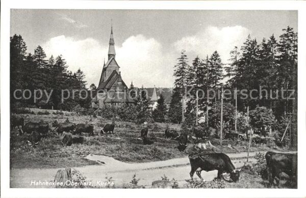 Hahnenklee-Bockswiese Harz Kirche Kühe