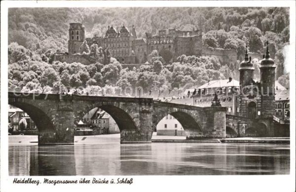Heidelberg Neckar Brücke Schloss