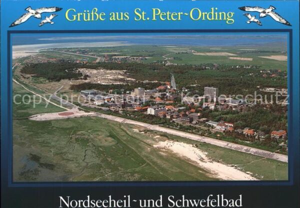 St Peter-Ording Möwe Fliegeraufnahme