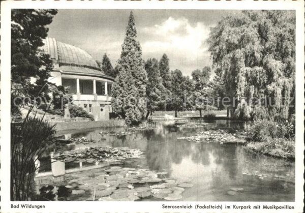 Bad Wildungen Seerosenteich Fackelteich Kurpark Musik