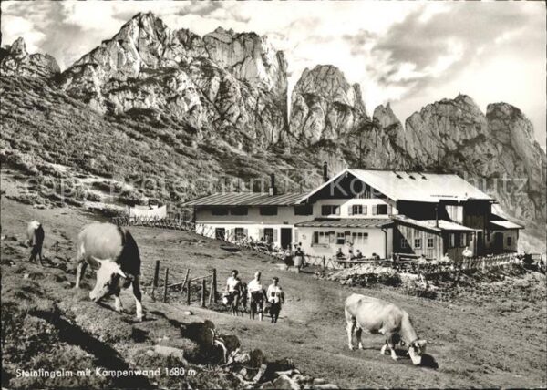 Aschau Chiemgau Steinlingalm Kühe Kampenwand
