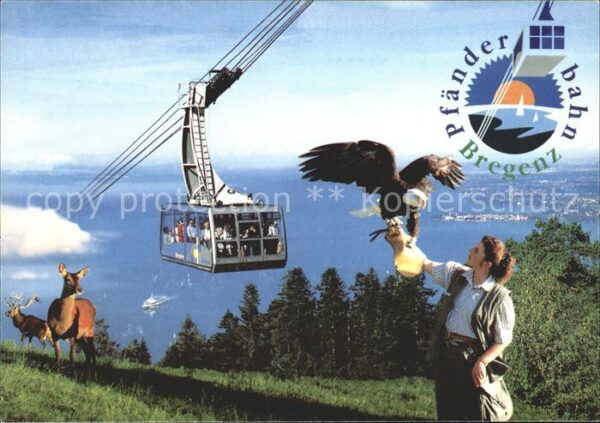 Seilbahn Pfänder Bregenz Adler Reh Hirsch