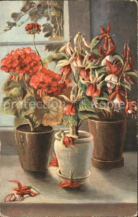 Blumen Primeln Künstlerkarte