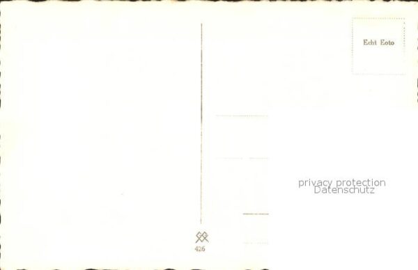 Pferde Schimmel Siegerklasse – Bild 2