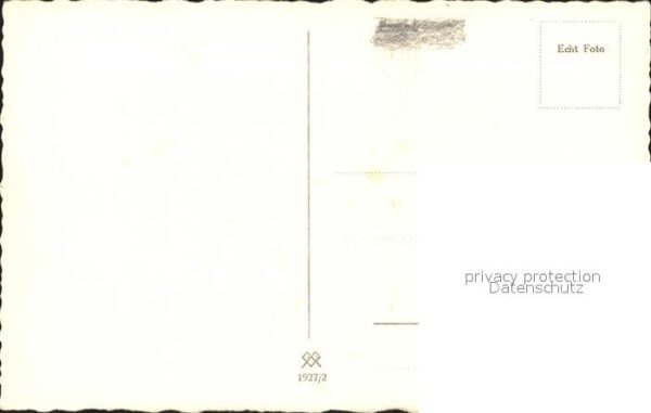 Reh Dammwild – Bild 2