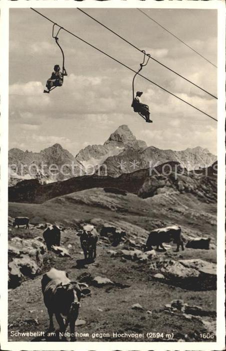Sessellift Nebelhorn Hochvogel Kühe