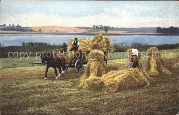 Verlag Photochromie Nr. 2834 Serie 154 Landwirtschaft Heuernte