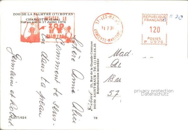 Affen Charlotte Zoo de la Palmyre Royan – Bild 2