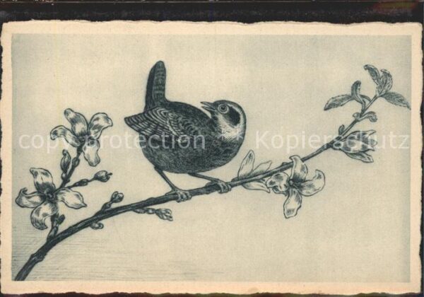 Voegel Blüten Timon-Nr. 76